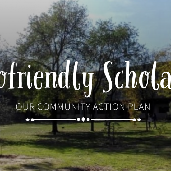 Eco-friendly Scholars IES Los Castillos