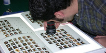 Fotógrafo examinado fotos