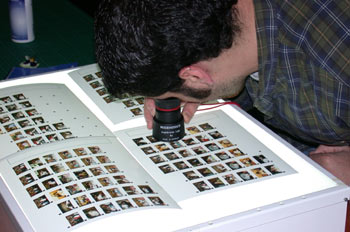 Fotógrafo examinado fotos