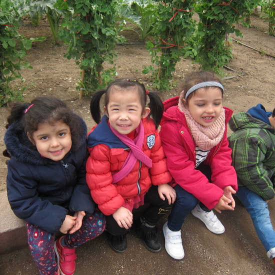 Granja Escuela Educación Infantil Curso 2017-18_2 24