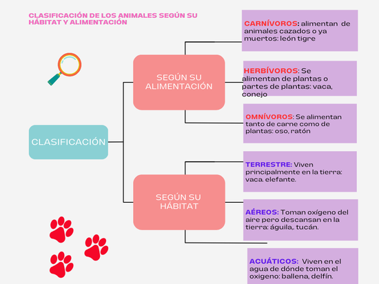 clasificación de animales
