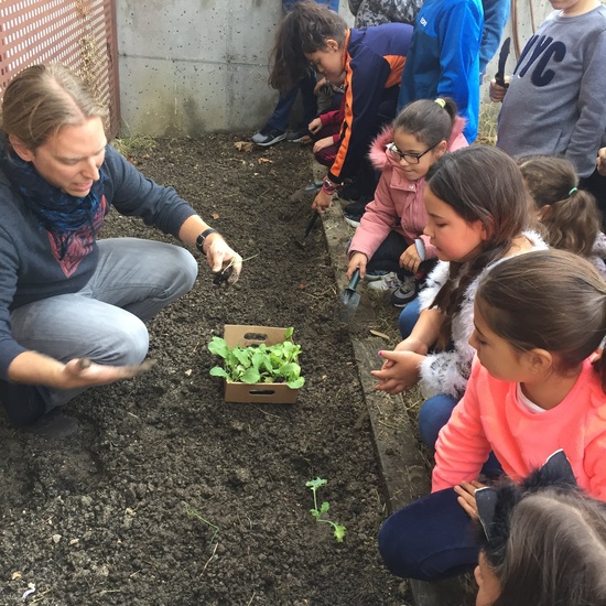 El año hortelano de 4º B 8