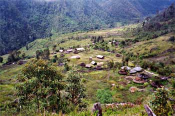 Vista cenital de poblado lani con iglesia en el centro, Irian Ja