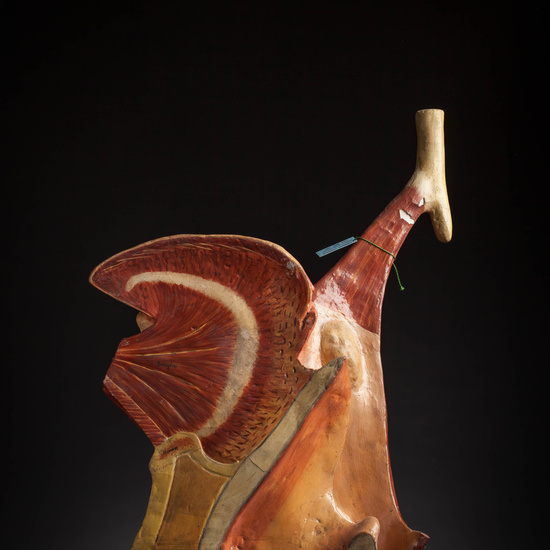 IES_CARDENALCISNEROS_ANATOMIA_MODELOS_082