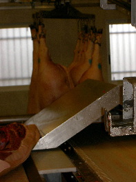 Máquina de procesado de carnes