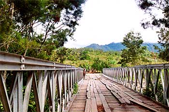 Puente con acceso para vehículos, Irian Jaya, Indonesia