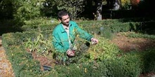 Profesión, jardinero