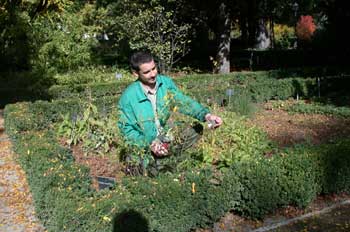 Profesión, jardinero