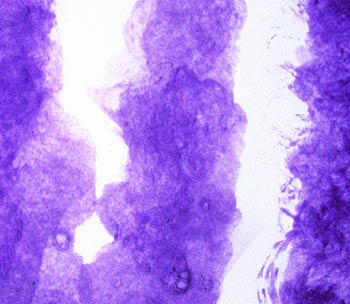 Composición pictórica en violeta