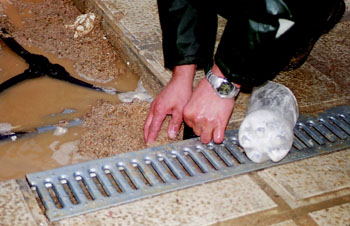 Instalación del sistema de riego