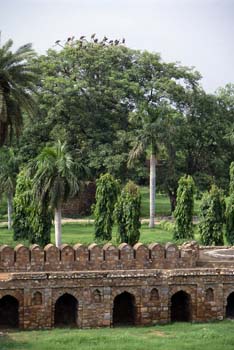 Vista desde el mausoleo de Humayun, con buitres sobre los árbole