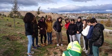 Plantación en el parque forestal de Valdebebas 2019 22