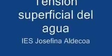 Tensión superficial del agua
