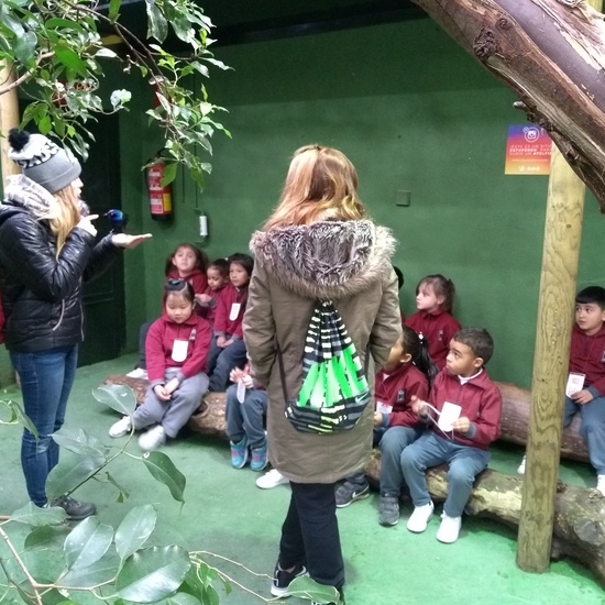 Granja de los Cuentos Infantiles I 19