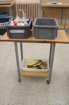 Materiales complementarios de impresión