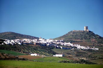 Vista panorámica de Feria y Castillo de Feria