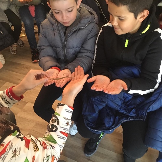 2020_02_27_3º visita Insectpark (1)_CEIP FDLR_Las Rozas 14