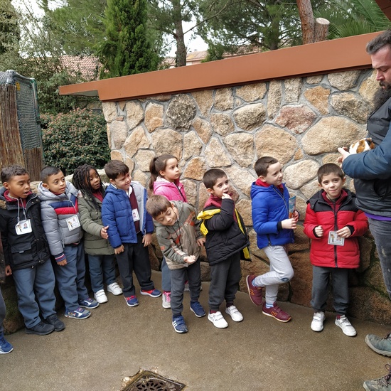 Granja de los cuentos  10