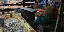 Bañeras de pescado, Jakarta