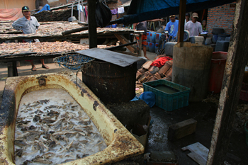 Bañeras de pescado, Jakarta