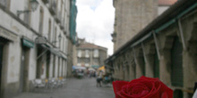 Flores para Santa Rita de Casia, Santiago de Compostela, La Coru