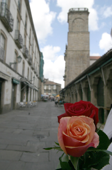 Flores para Santa Rita de Casia, Santiago de Compostela, La Coru