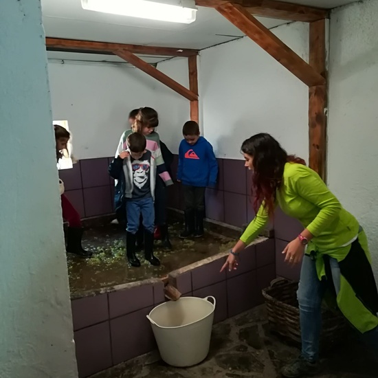 Granja Escuela 1º y 2º EP 2017-18 38