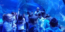 FOTOS AQUARIUM 4 3