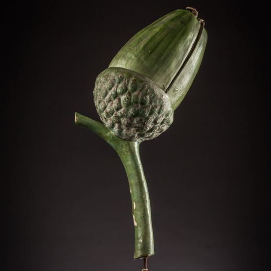 IES_ISABELLACATOLICA_BIOLOGIA_139