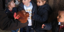 Granja Escuela Educación Infantil Curso 2017-18_2 7