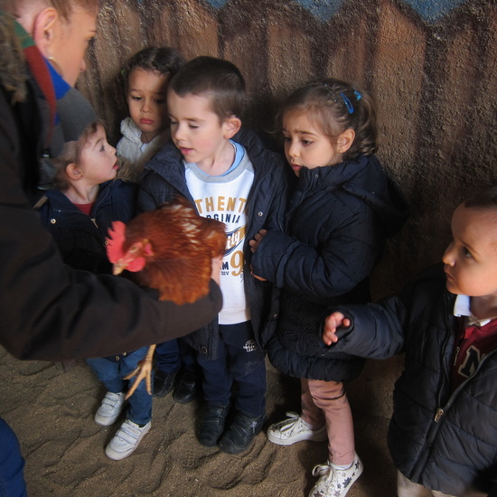 Granja Escuela Educación Infantil Curso 2017-18_2 7