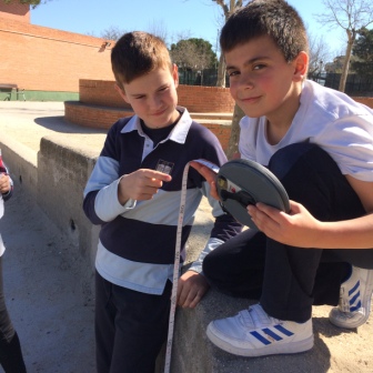 Quinto mide el Colegio 31