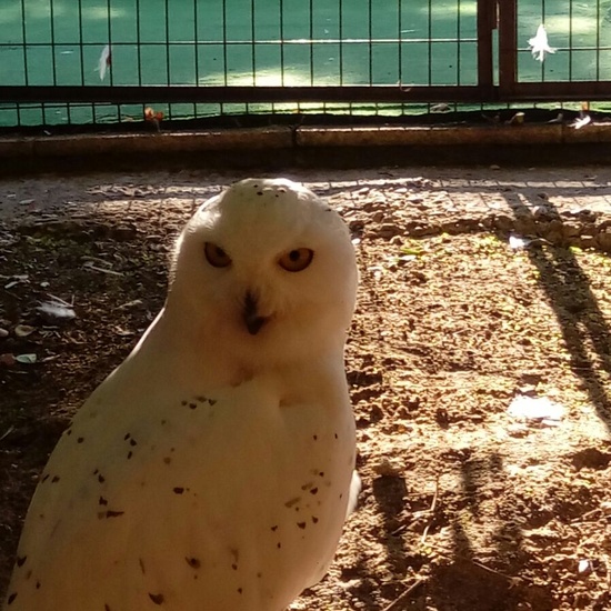 Granja Escuela 1º y 2º EP 2017-18 18