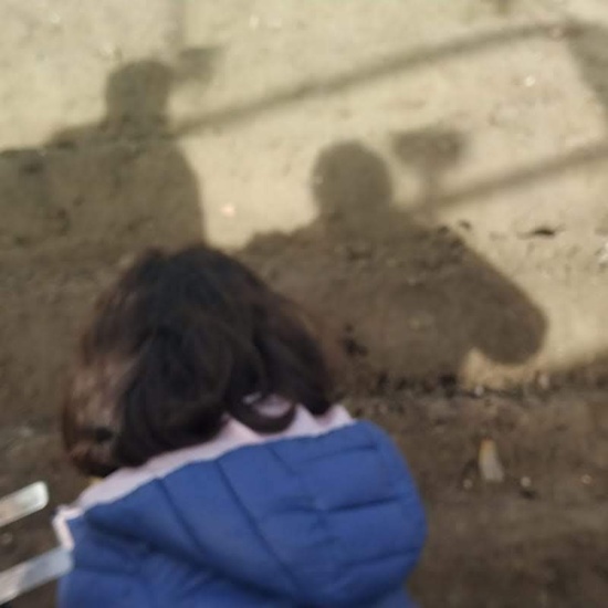 1º de Primaria_Plantamos garbanzo  13