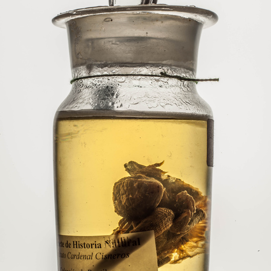 IES_CARDENALCISNEROS_CIENCIASNATURALES_223