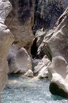 Poza en el Barranco de la Peonera, Huesca