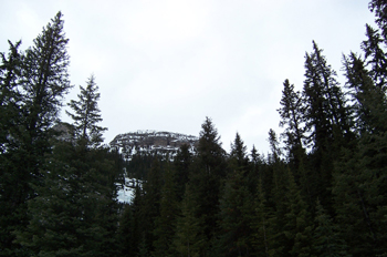 Bosque, Lago Louise, Parque Nacional Banff