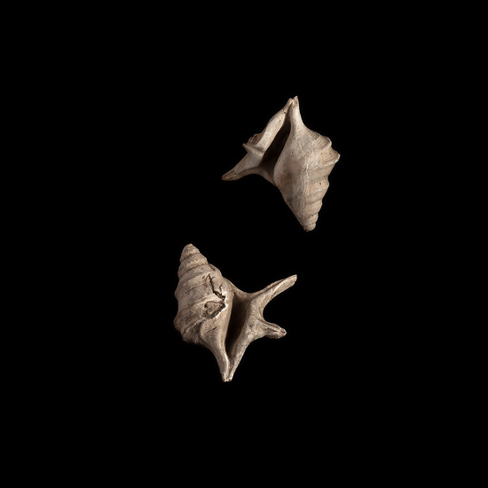 IES_CERVANTES_GEOLOGIA_025