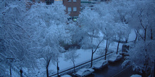 Nevada en Madrid, Comunidad de Madrid
