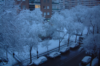 Nevada en Madrid, Comunidad de Madrid