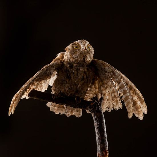 IES_ISABELLACATOLICA_BIOLOGIA_546