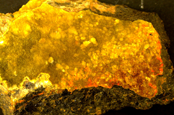 Wolsendorfita (rojo)