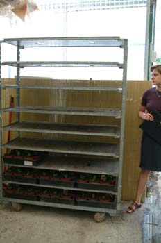 Carro transportador de bandejas o plantas