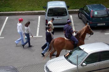 Policía montada