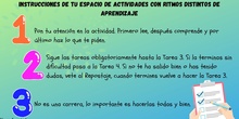 INSTRUCCIONES T5 CANVA