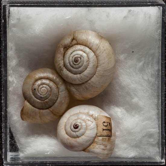 IES_ISABELLACATOLICA_BIOLOGIA_371