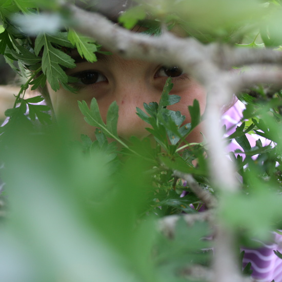 17. Detras de la rama - Alejandra - 5º TORREMOCHA