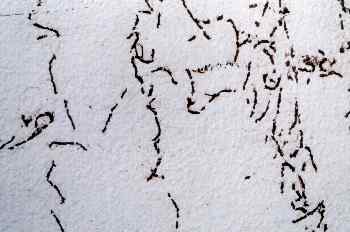 Pared blanca con manchas negras