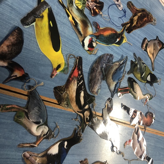 Albergue 6º - 3º día (mañana) 4