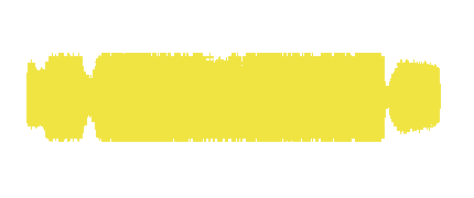 VOICES FROM NEW ORLEANS